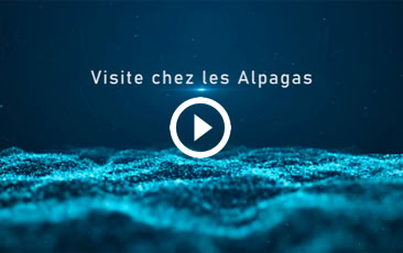 Lire la vidéo